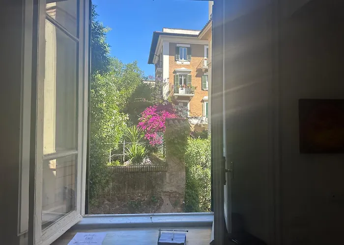 Window